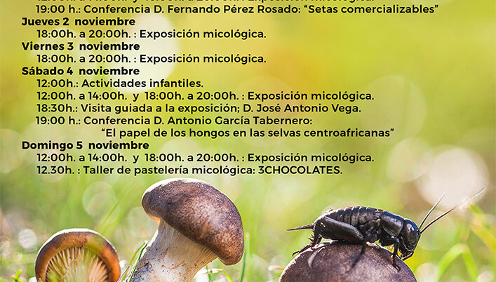 GUÍA MICOLÓGICO CON LA “ASOCIACIÓN MICOLÓGICA DE EL ROYO”