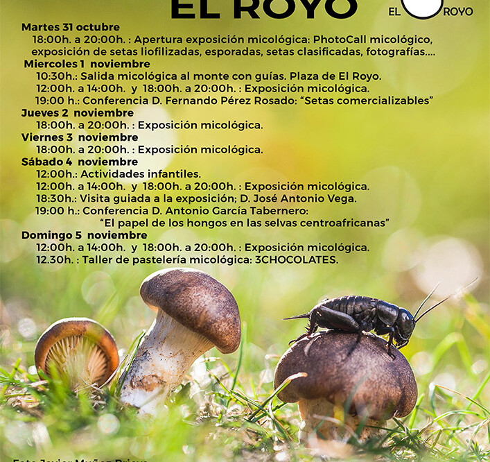 GUÍA MICOLÓGICO CON LA “ASOCIACIÓN MICOLÓGICA DE EL ROYO”